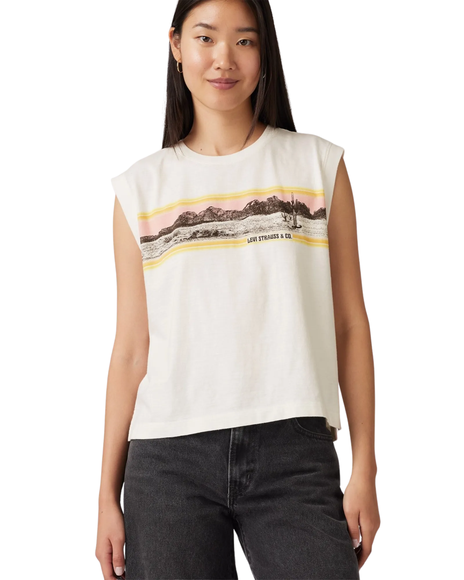 Graphic Boxy T-Shirt in Pink Sunset Desert