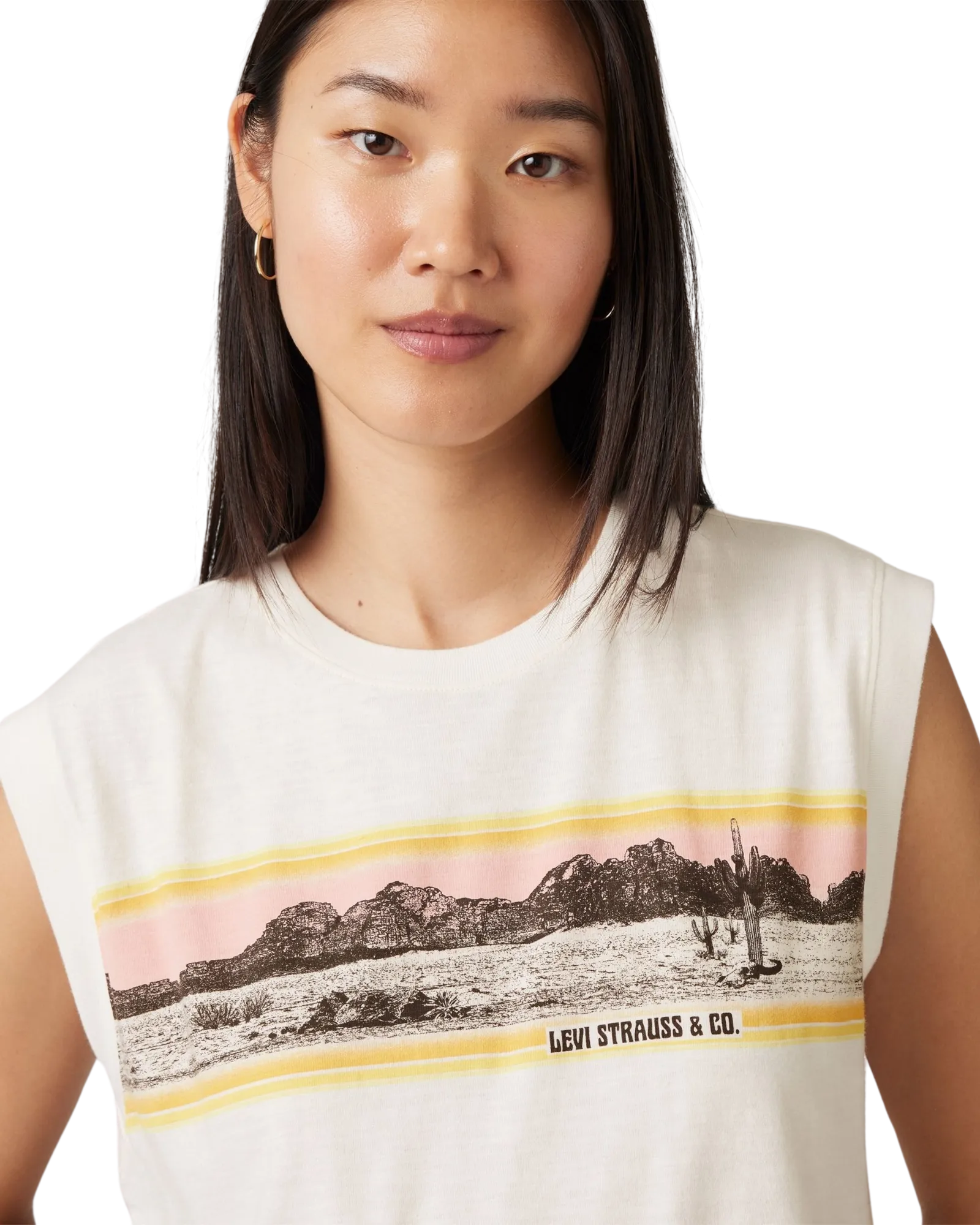 Graphic Boxy T-Shirt in Pink Sunset Desert