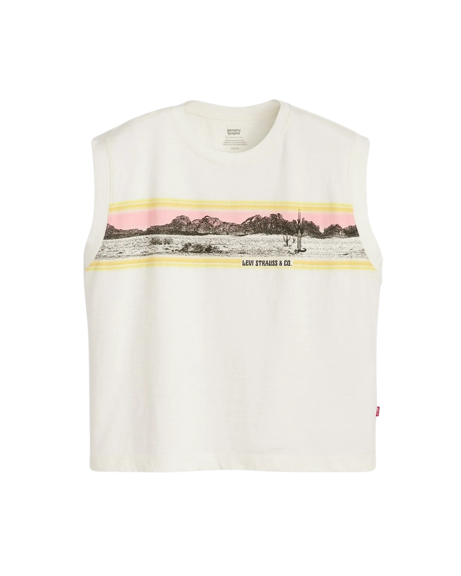 Graphic Boxy T-Shirt in Pink Sunset Desert